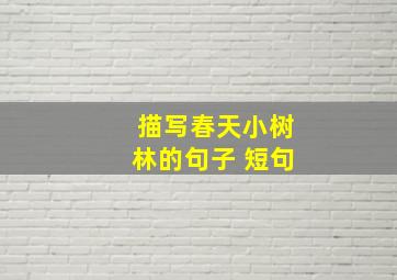 描写春天小树林的句子 短句